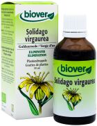 Solidago Virga Aurea Goldenrod 50 ml