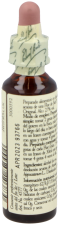 Bach 7 Chestnut Bud 20 ml