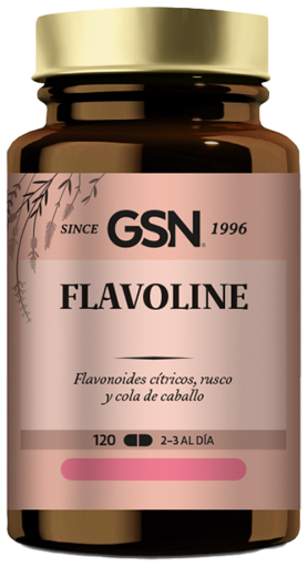 GSN Flavoline 120Comp. 555 Mg.