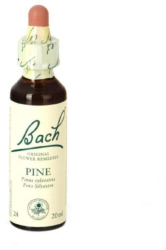 Original Flower Essences Bach 24 Pine 20 ml
