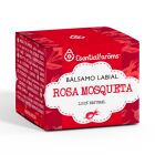 Rosehip Lip Balm