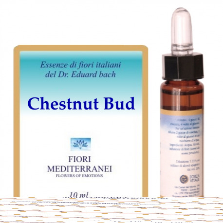 Forza Vitale Fm 7 Chesnut Bud 10 ml