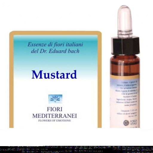 Forza Vitale Fm 21 Mustard 10 ml