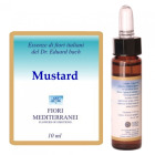 Fm 21 Mustard 10 ml