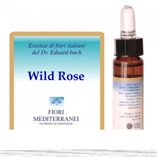 Forza Vitale Fm 37 Wilde Rose 10 ml