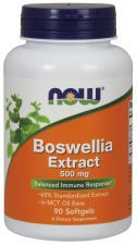Boswellia Extract 500 mg 90 Capsules