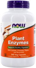 Plant Enzymes 240 Capsules