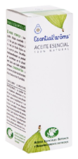 Fennel 10 ml