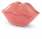 Hydrogel Lip Mask 22 Units