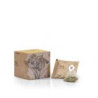 Linden Infusion Cut Flower Eco Pyramid 1x10 units