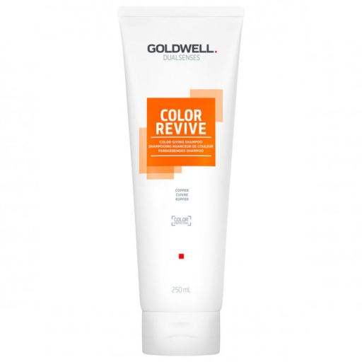 Goldwell Dualsenses Color Revive Shampoo 250 ml