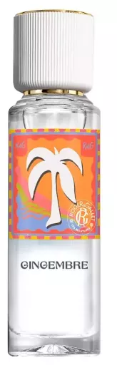 Les Aventures Gingembre Perfumed Water Wellness 30 ml